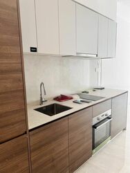 The Florence Residences (D19), Apartment #461486741